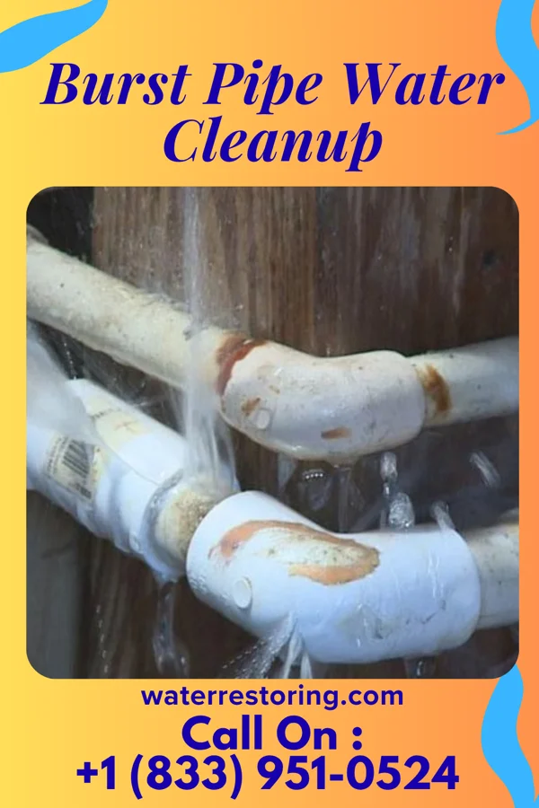Burst Pipe Water Cleanup in Roadstown, NJ