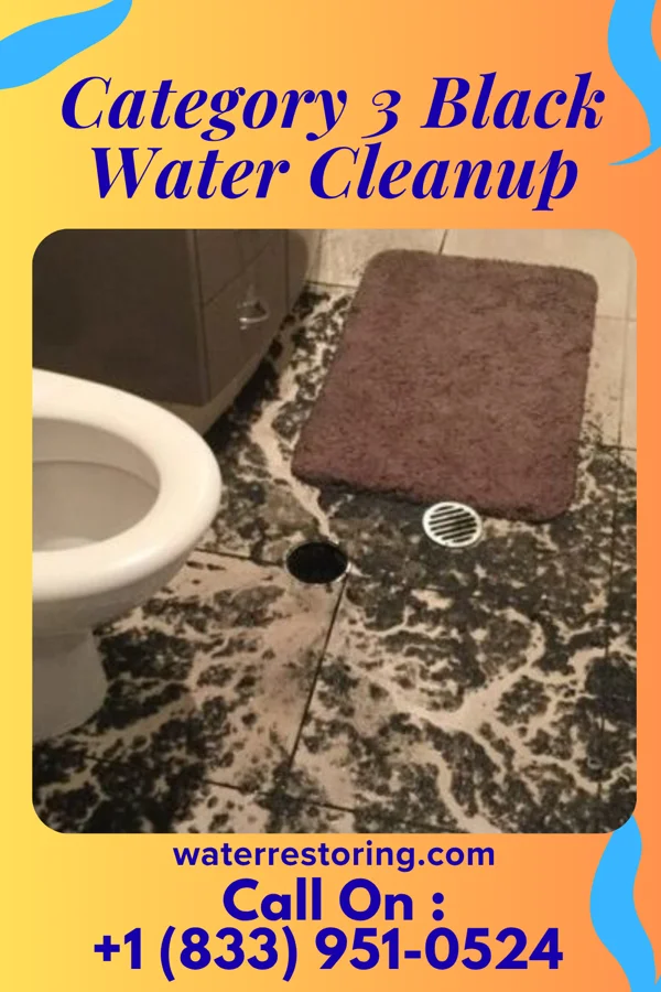 Category 3 Black Water Cleanup in Roadstown, NJ