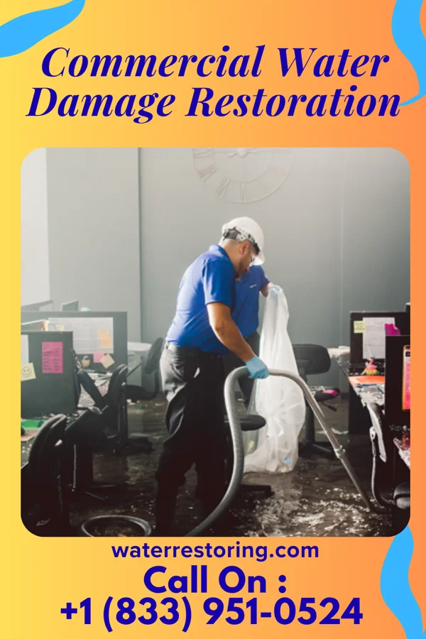Commercial Water Damage Restoration in Roadstown, NJ