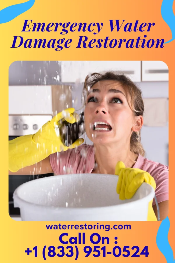 Emergency Water Damage Restoration in Roadstown, NJ