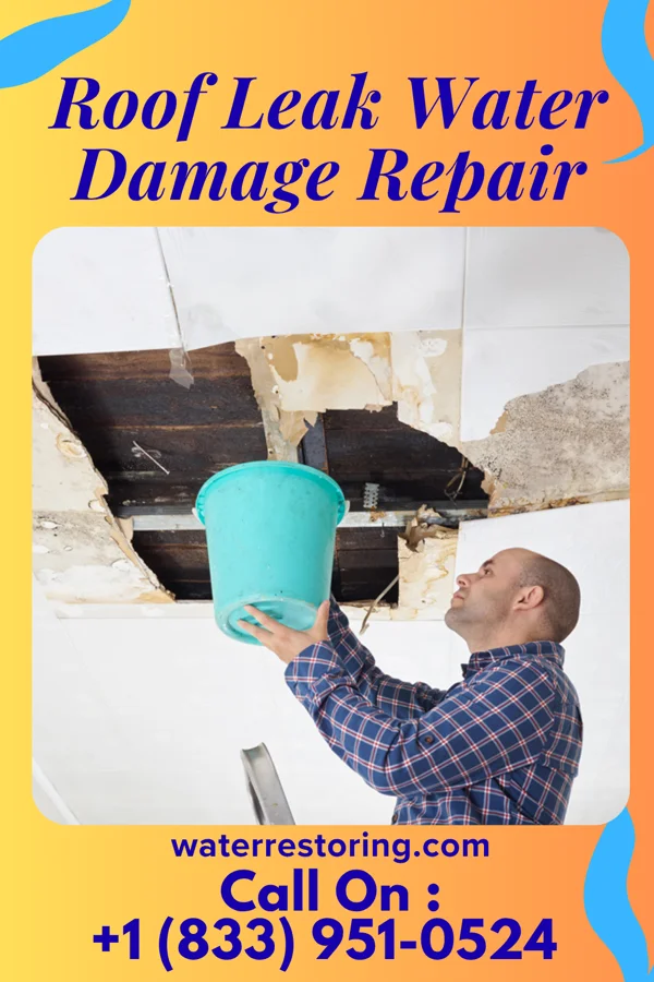 Roof Leak Water Damage Repair in Roadstown, NJ