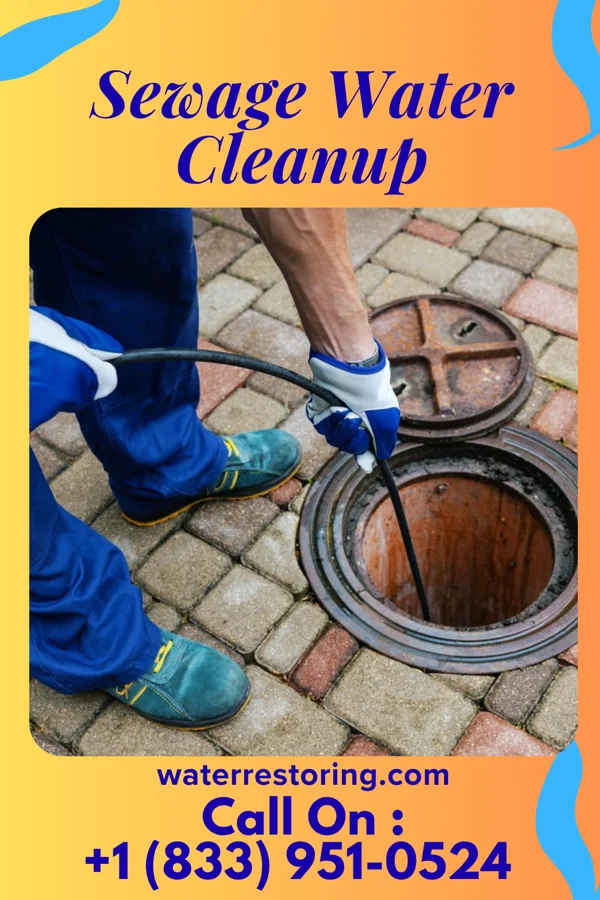 Sewage Water Cleanup in Roadstown, NJ