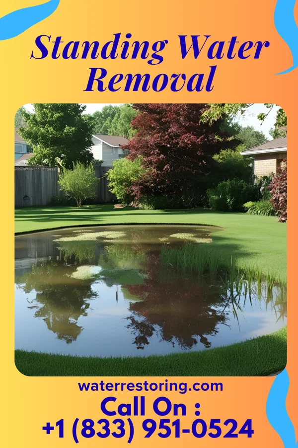 Standing Water Removal in Roadstown, NJ